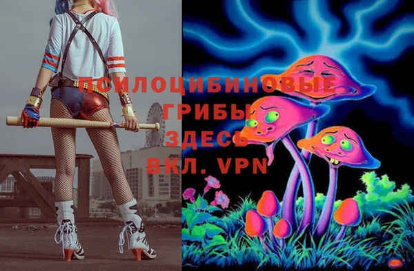 мдпв Елабуга