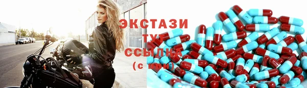 мдпв Елабуга