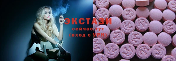 мдпв Елабуга