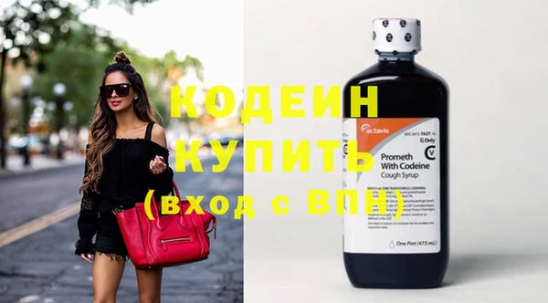 мдпв Елабуга