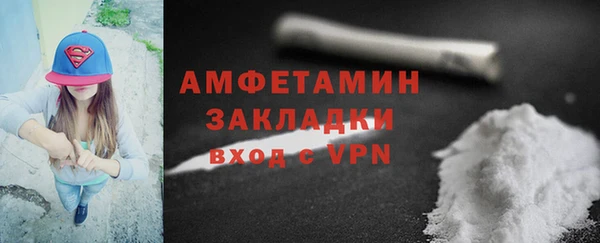 мдпв Елабуга