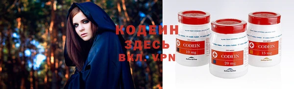 мдпв Елабуга
