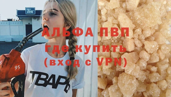 мдпв Елабуга