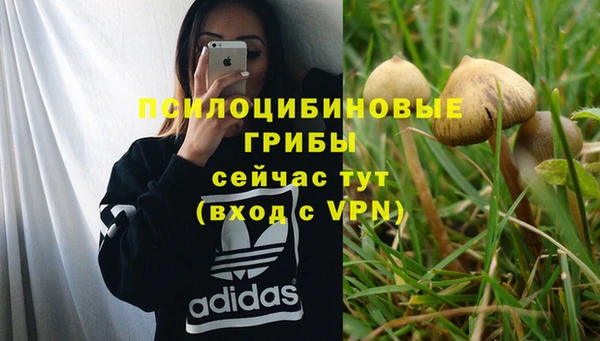 мдма Елизово