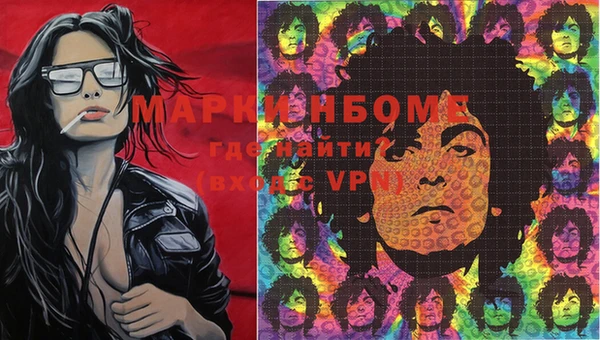 мдпв Елабуга