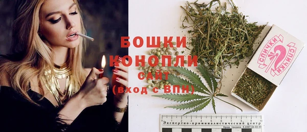 мдпв Елабуга