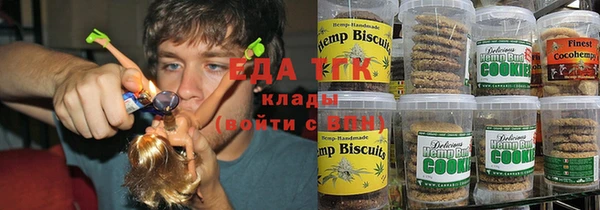 мдпв Елабуга