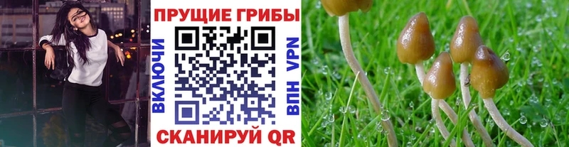 мега ССЫЛКА  Чулым  Галлюциногенные грибы Magic Shrooms 